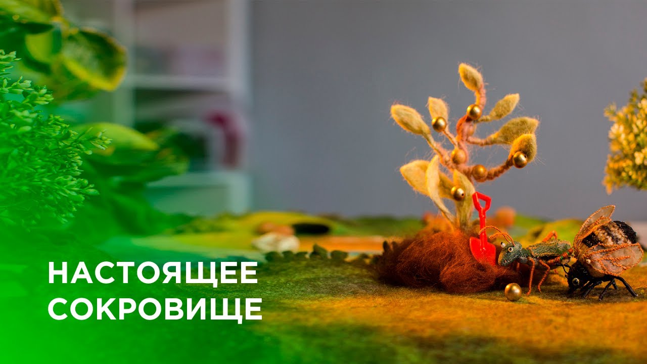 НАСТОЯЩЕЕ СОКРОВИЩЕ (0+)