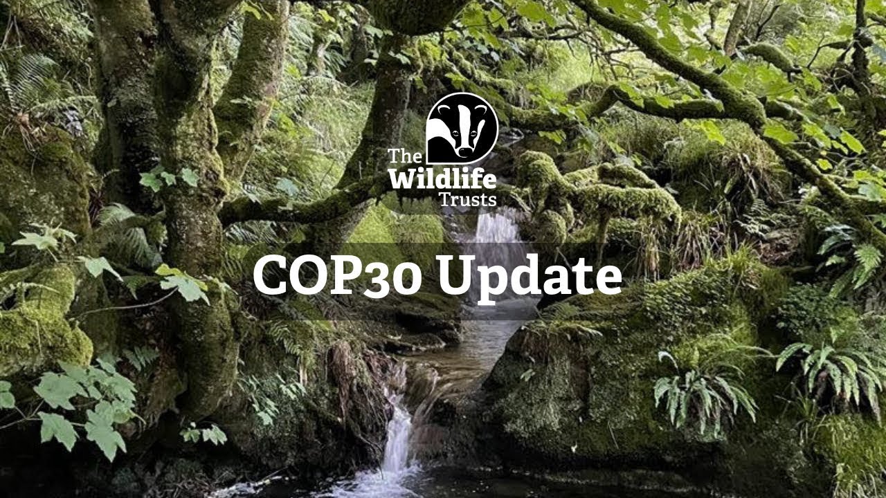 COP30 Update 3 - 24th November