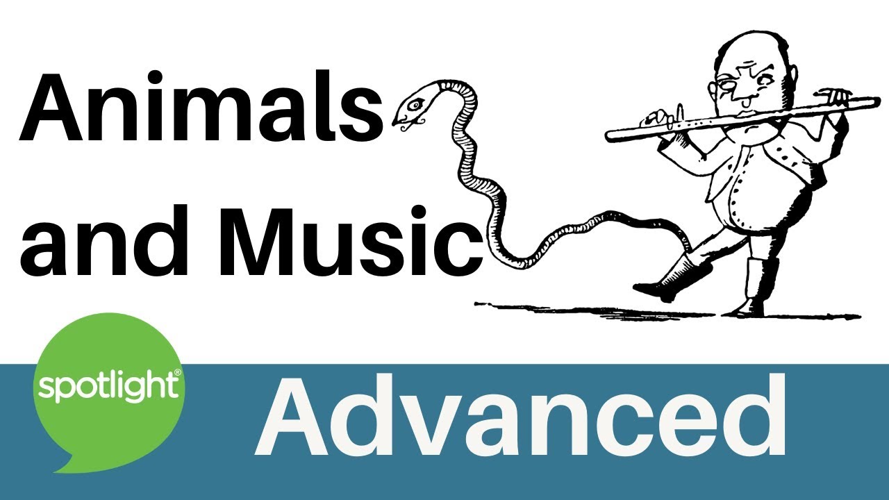 Animals and Music | ADVANCED | practice English with Spotlight