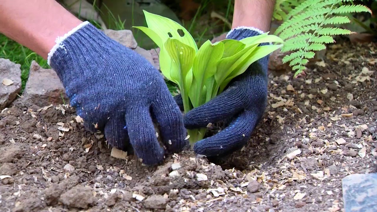 Ерни куз қиш мавсумига тайёрлаш