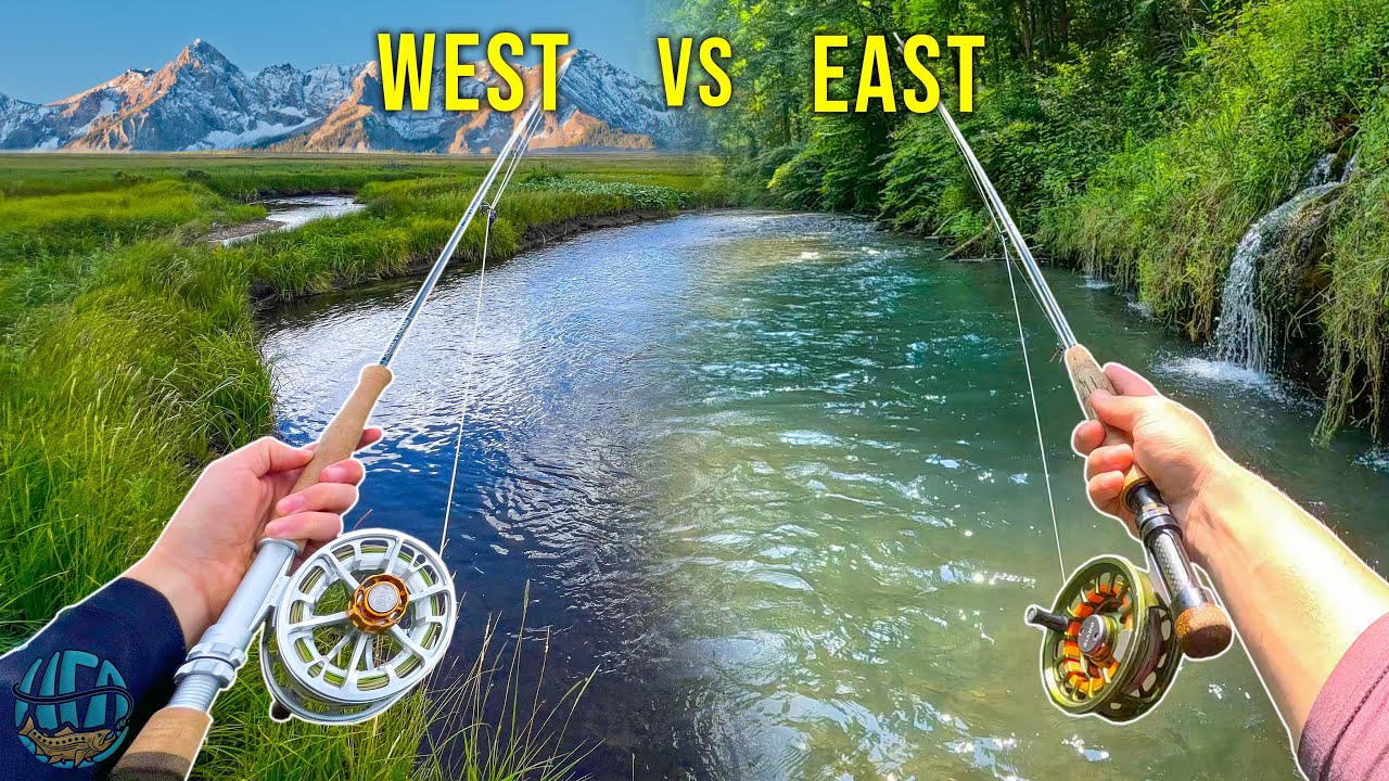 Fly Fishing the East vs West: Who can catch the biggest fish?? (Trout Fishing)