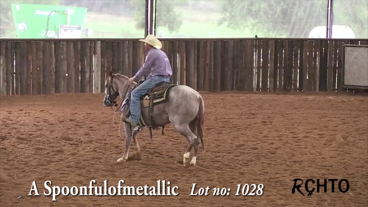 NRCHA Sale Horse Lot No 1028 with trainer Tarin Rice