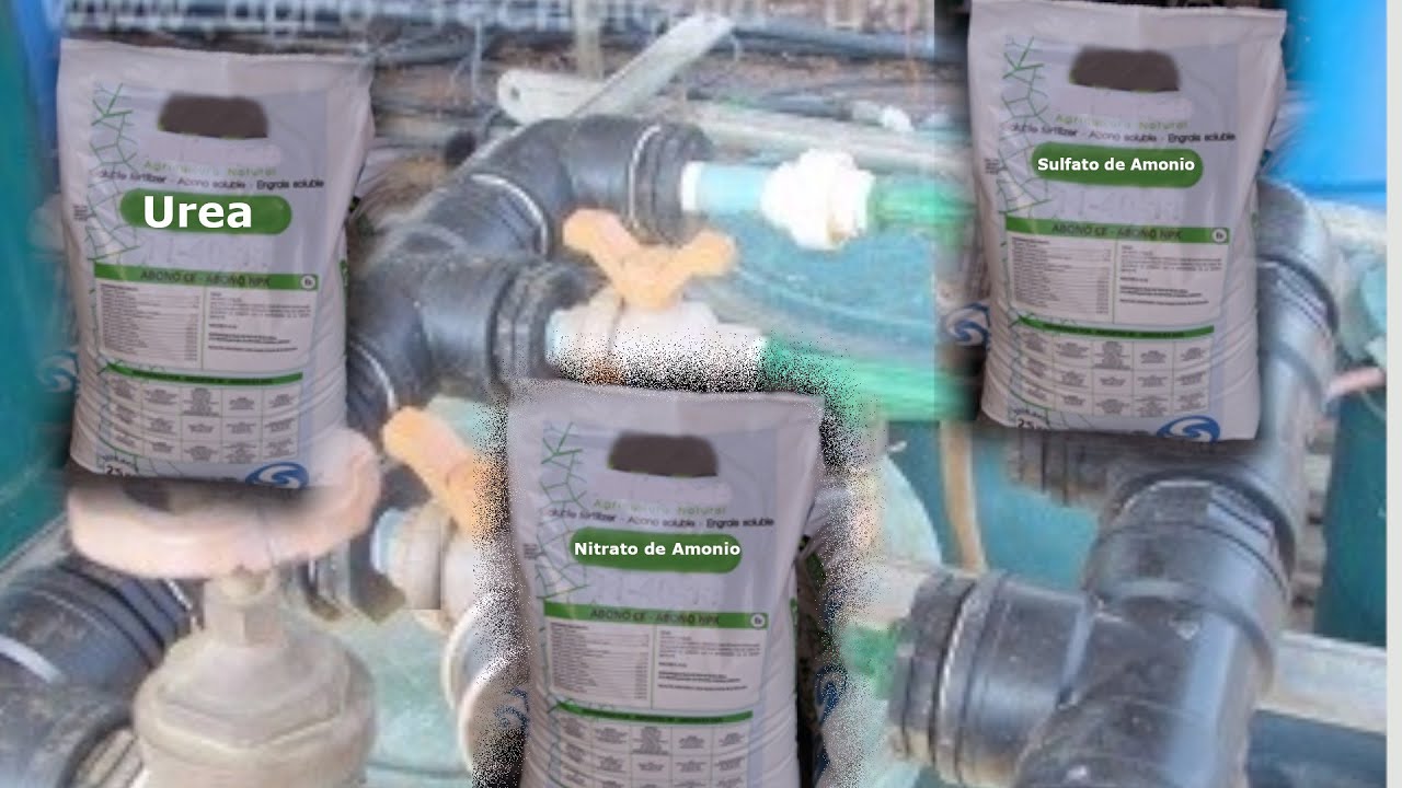 Como elegir entre UREA, SULFATO de AMONIO y NITRATO De AMONIO para la fertilización de cultivos