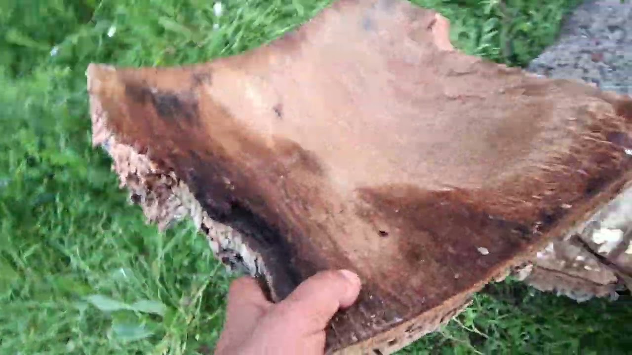 para que pod&aacute;is distinguir el bornizo sucio del limpio