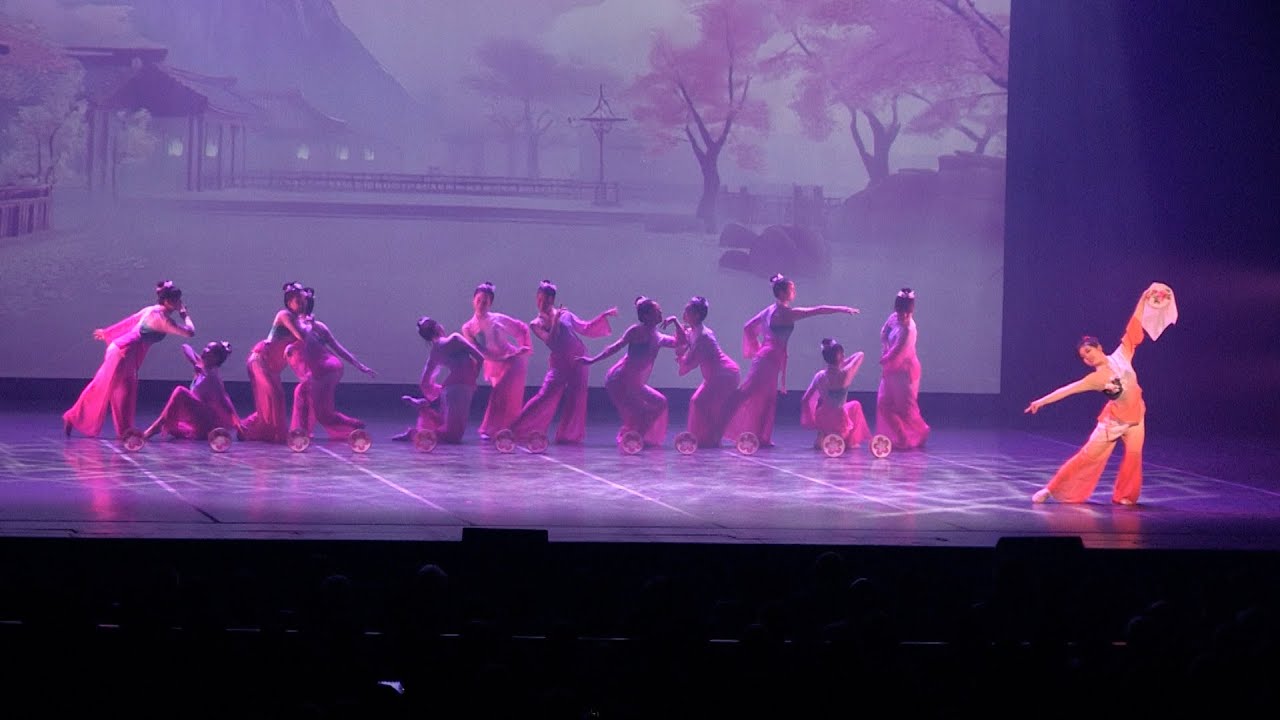 Les ombres brodées   Phoenix Troupe Hua Yun Chinese New Year 2025   20250201