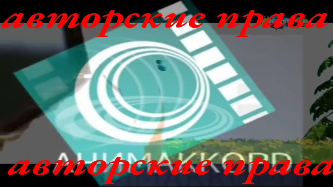 vsrivnaya_mashina_24_02_2014