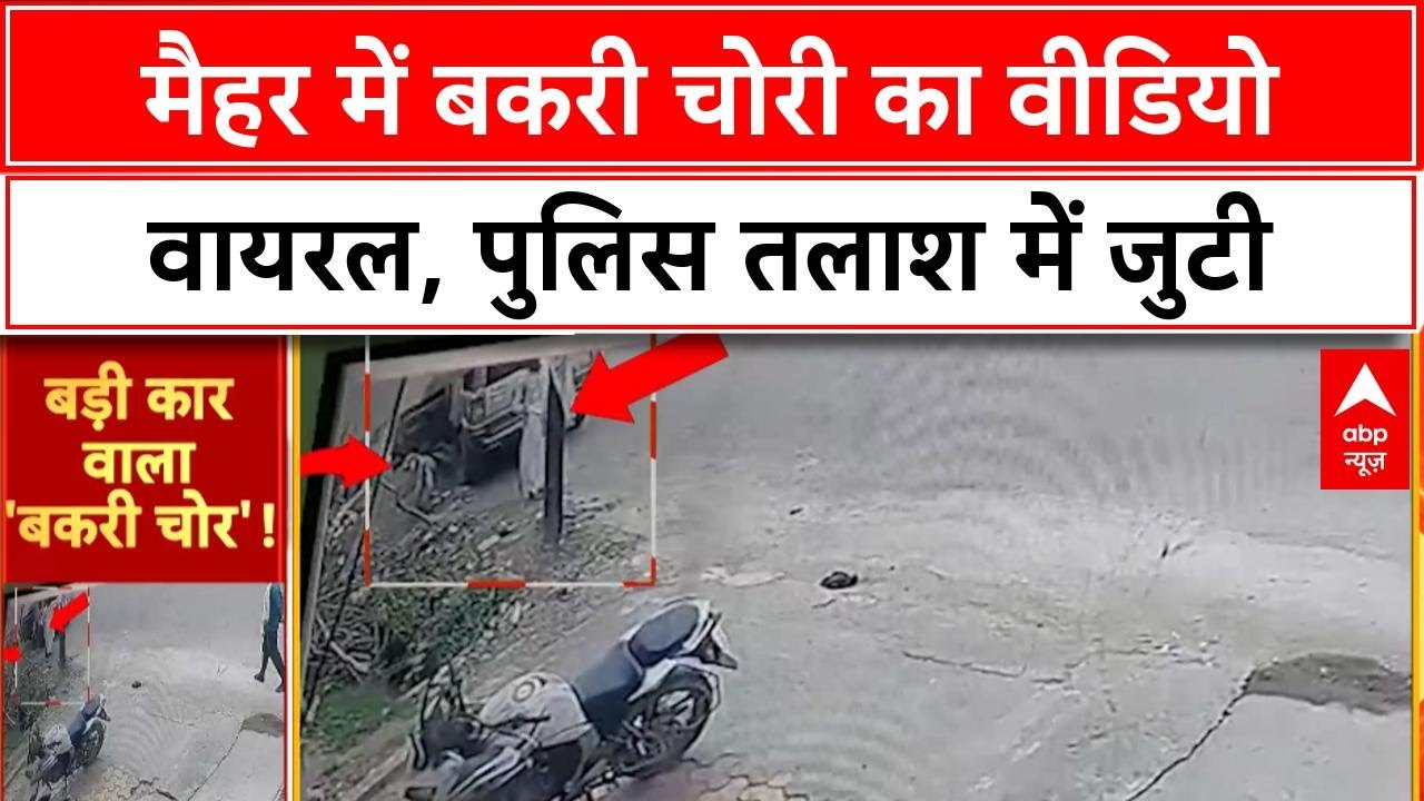 Viral News : Maihar में Scorpio से बकरी चोरी, Viral Video से हड़कंप! Goat Theft