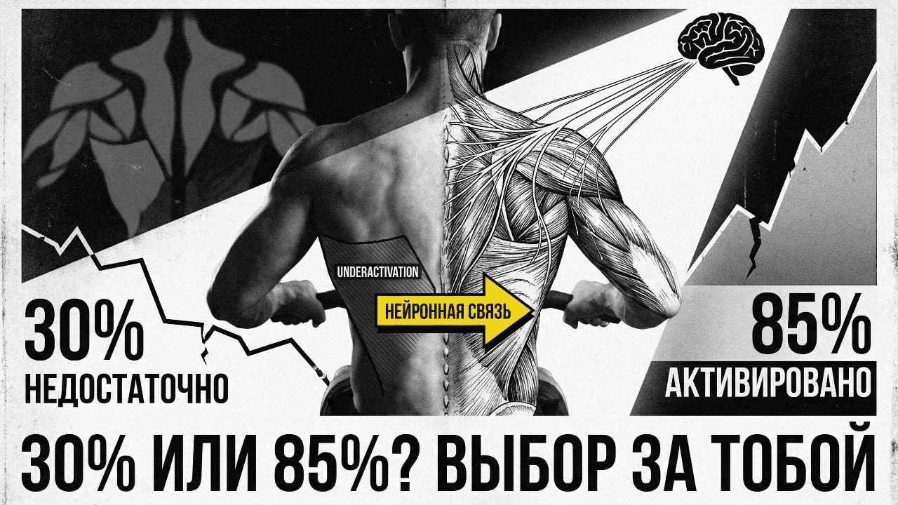 БИОМЕХАНИКА СПИНЫ: ЧТО РАБОТАЕТ НА 100% КАК НА САМОМ ДЕЛЕ ВКЛЮЧАЮТСЯ МЫШЦЫ СПИНЫ