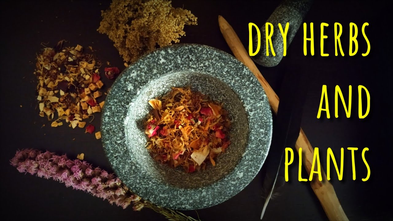 HOW TO DRY PLANTS, HERBS AND FLOWERS FOR HERBAL SMUDGES, ALTAR, RITUALS, INCENSES, INFUSIONS...TIPS!