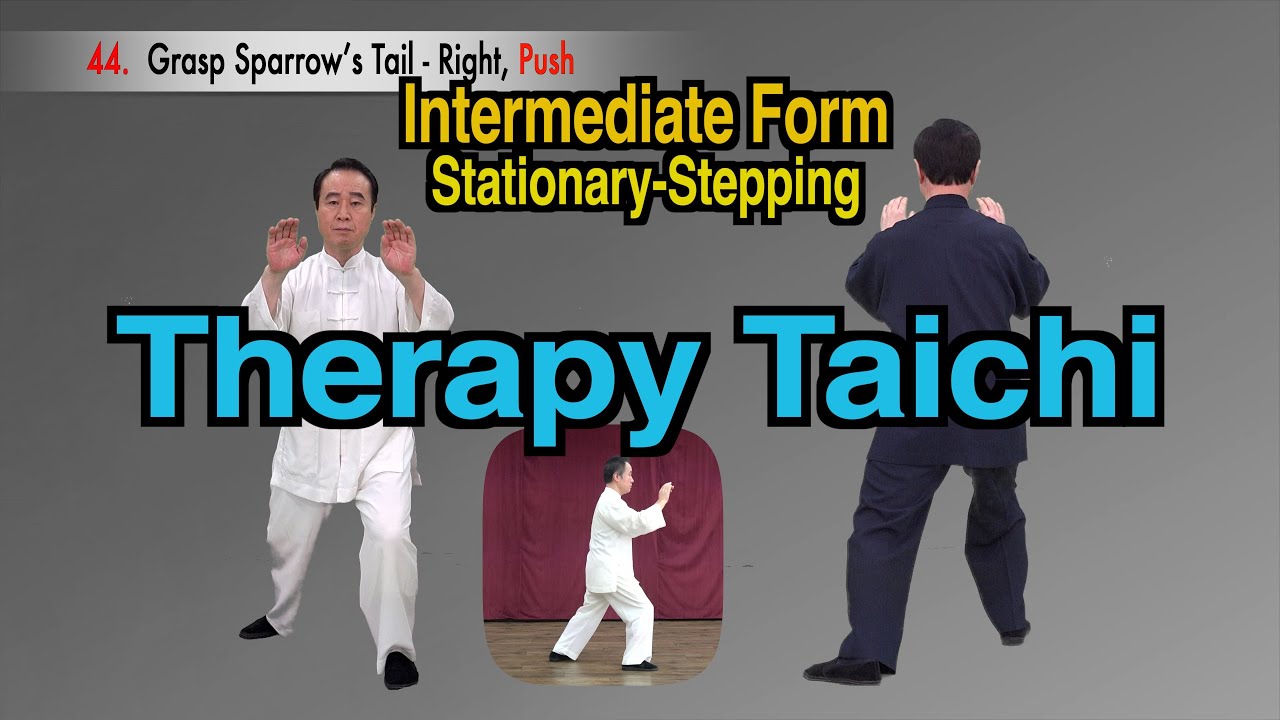 Easy Tai Chi for Everyone 《Therapy Taichi》 Intermediate Form (Stationary-Stepping)