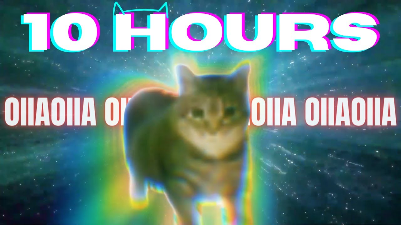 OIIA OIIA CAT 10 HOURS