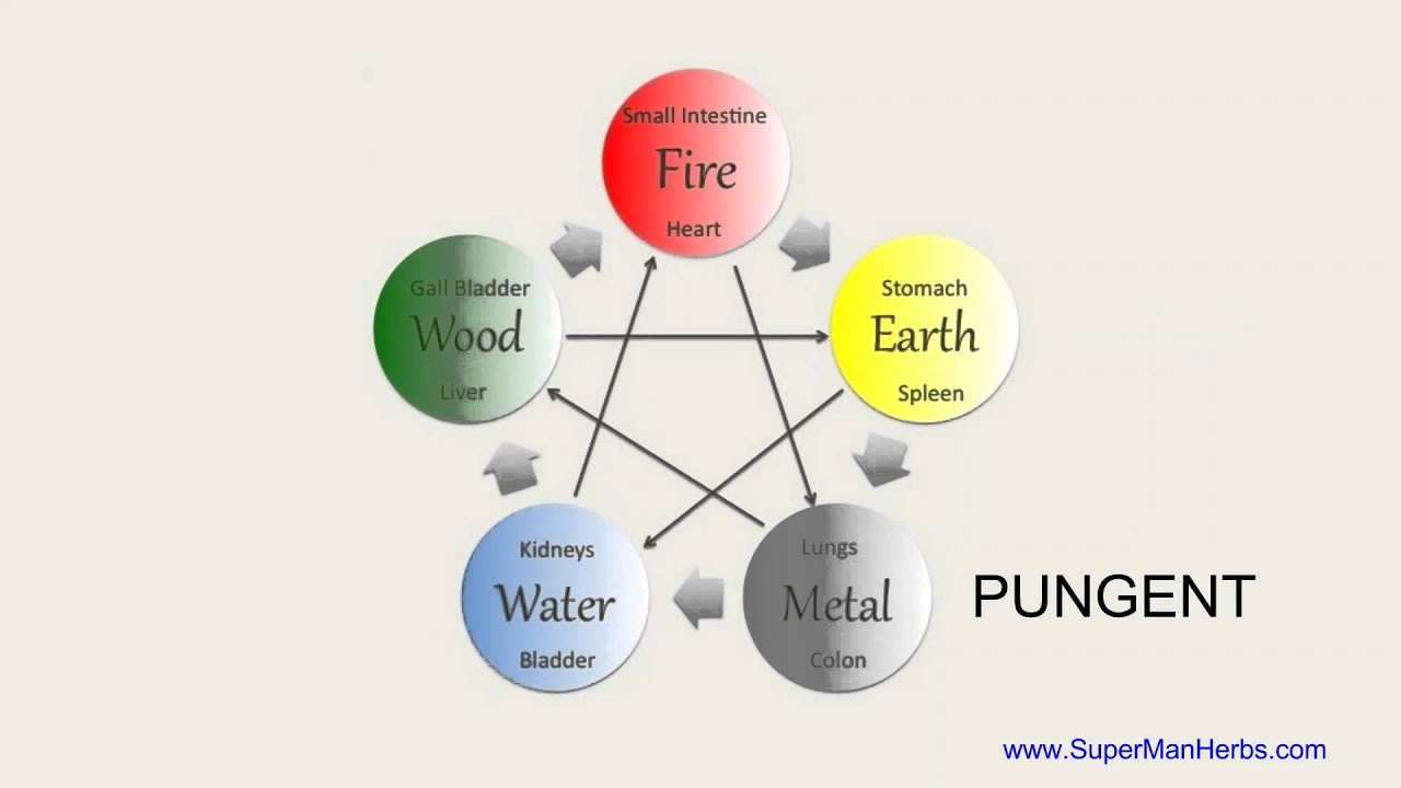 Five Elements and Five Tastes
