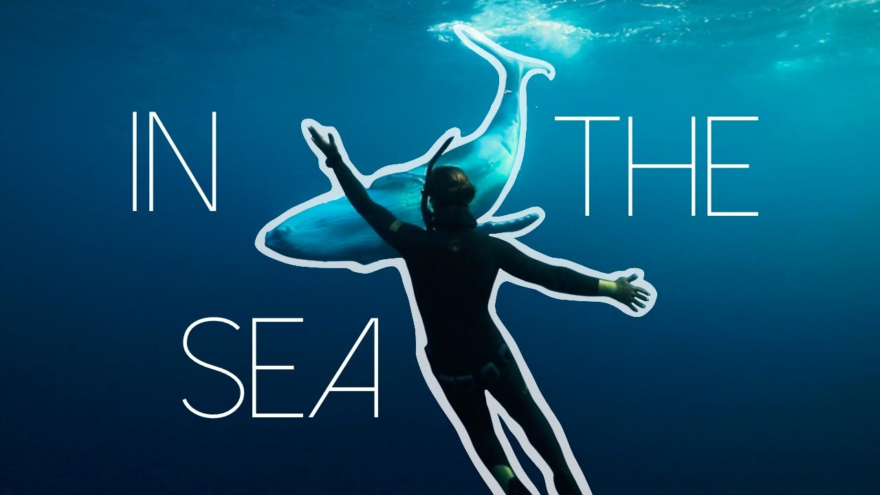 IN THE SEA (Short Film) - Freediving Through Moorea, French Polynesia