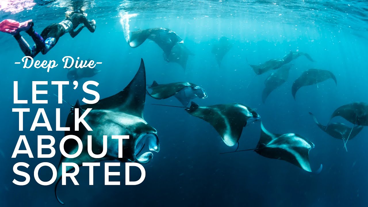 Let's Talk About SORTED | Deep Dive