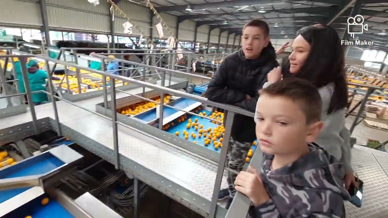 A tour of Karino Citrus Packhouse near Nelspruit South Africa.