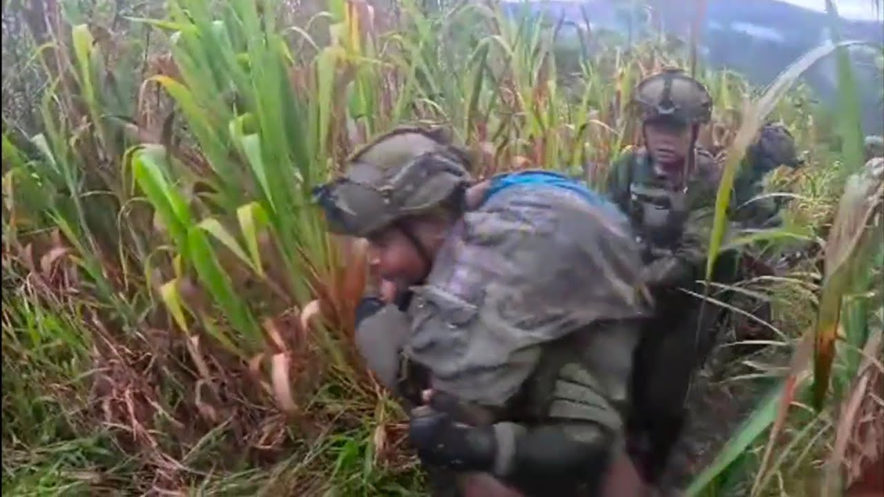 TNI Lumpuhkan Anggota OPM di Papua Tengah