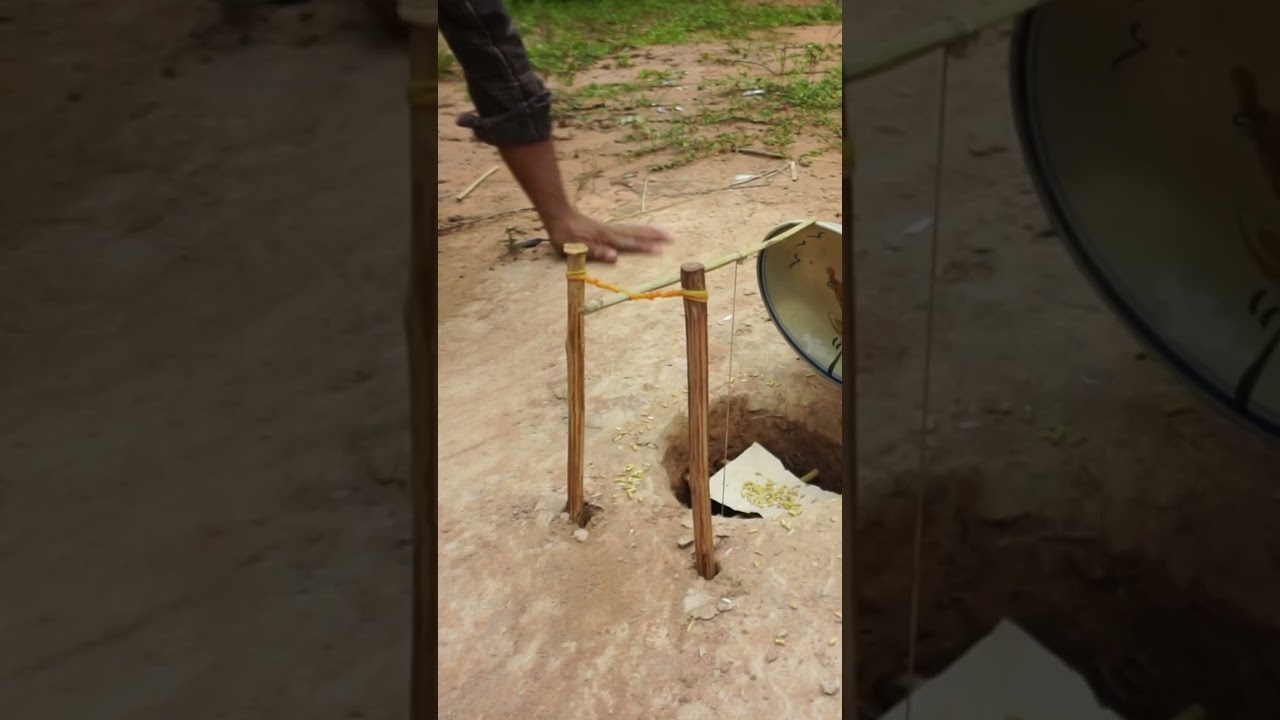 Amazing unique bird trap using plate & hole - Creative bird trap - #Shorts