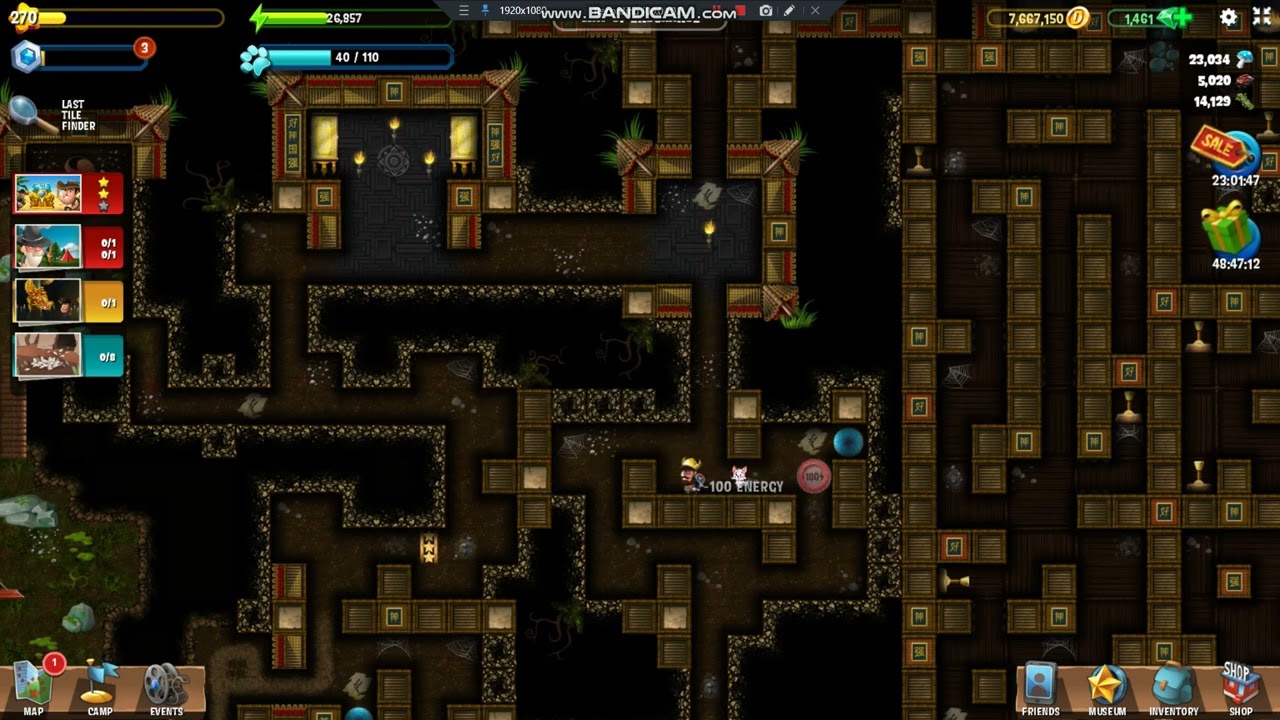 Way of Endurance - Diggy's Adventure