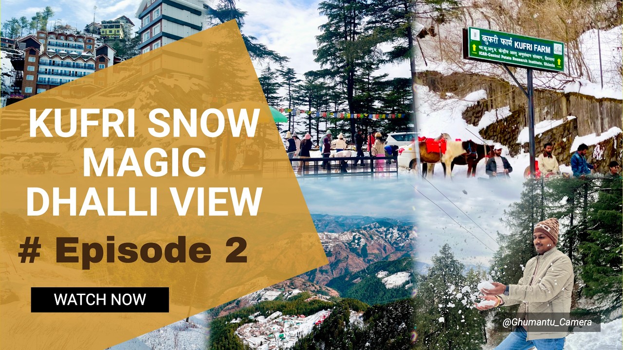 Kufri Snow Experience | Dhalli Scenic Views | Shimla Trip - Episode 2