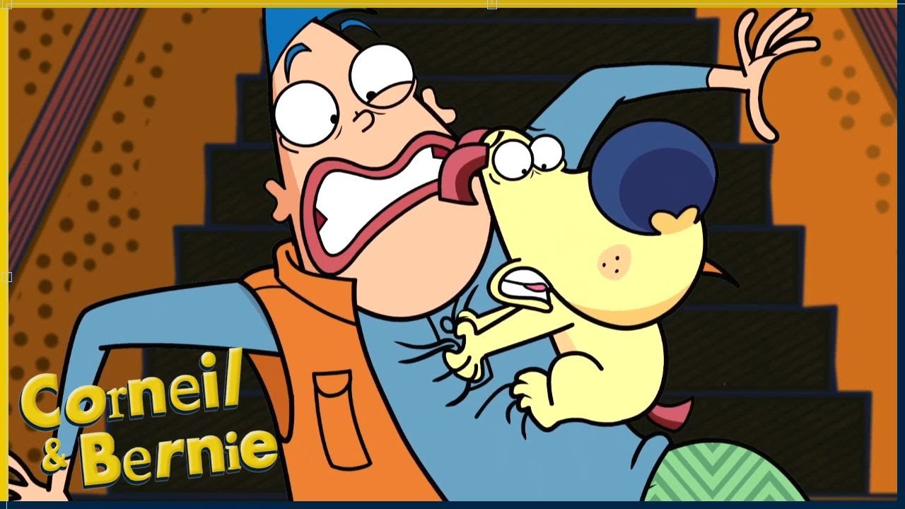 Interdit aux chiens 🚫 | Corneil & Bernie | 25' Compilation