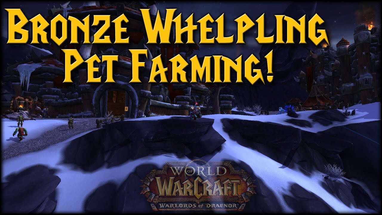 Bronze Whelpling Farming Guide!