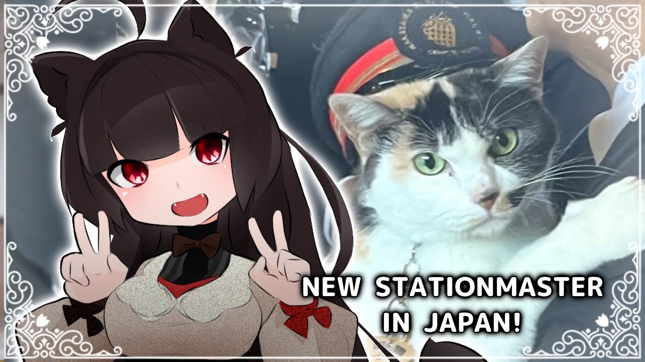 NEW STATIONMASTER IS ADORABLE 🚂🐈‍⬛ Yontama the new cat stationmaster!