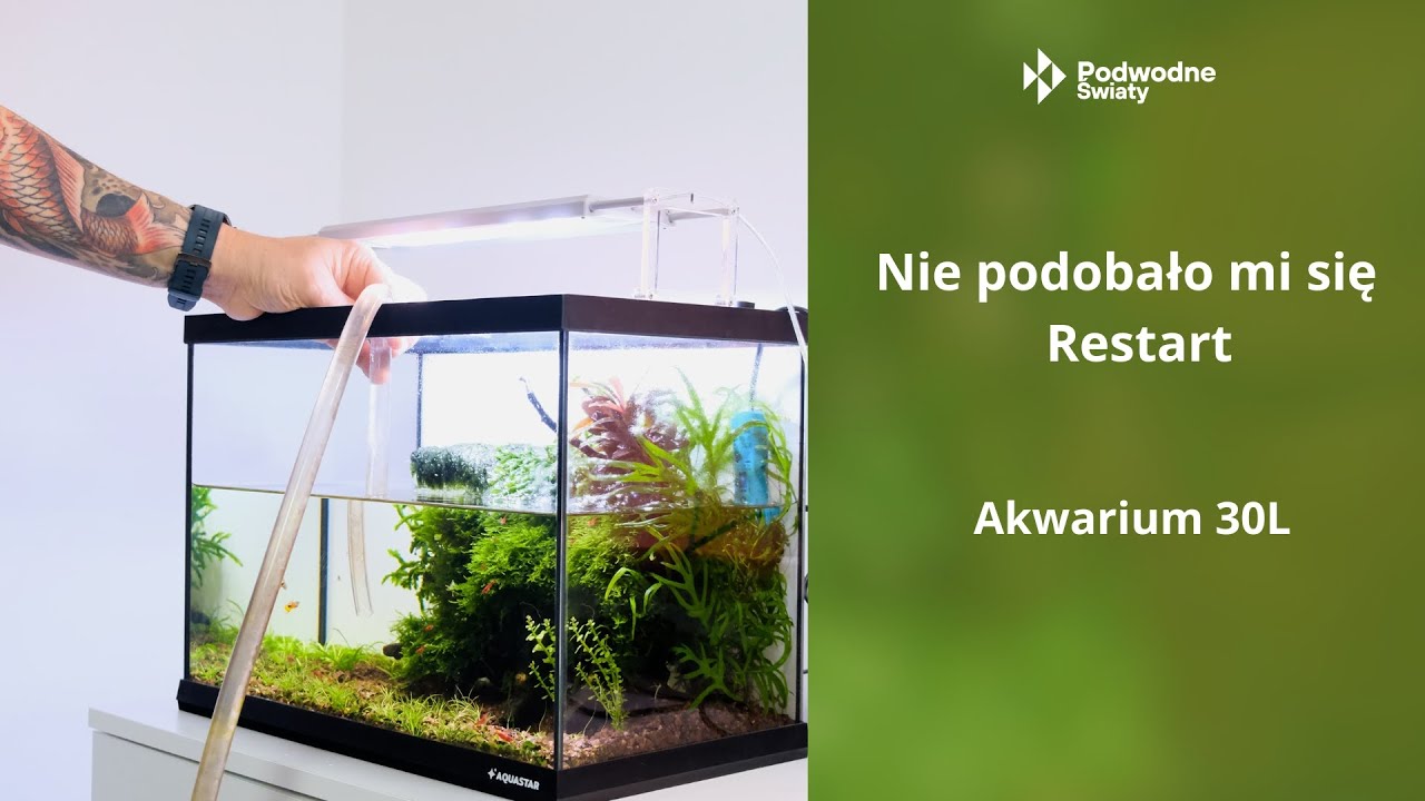 Nie podobało mi się - Restart. Akwarium 30L
