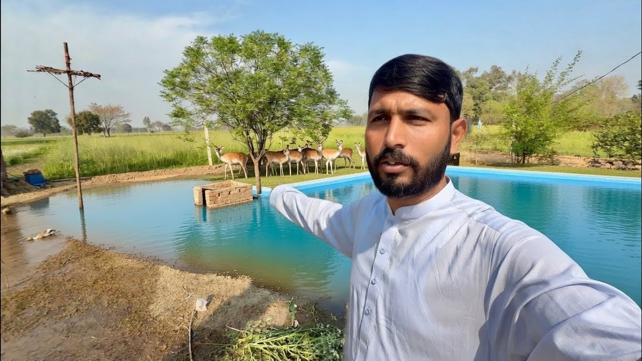 9000 sq Ft Pool For Duck 🦆 + A deer 🦌 In The Farm First Time | Mr Asad