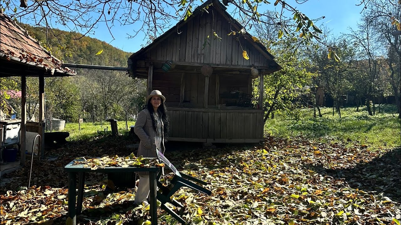 La adunat de nuci 