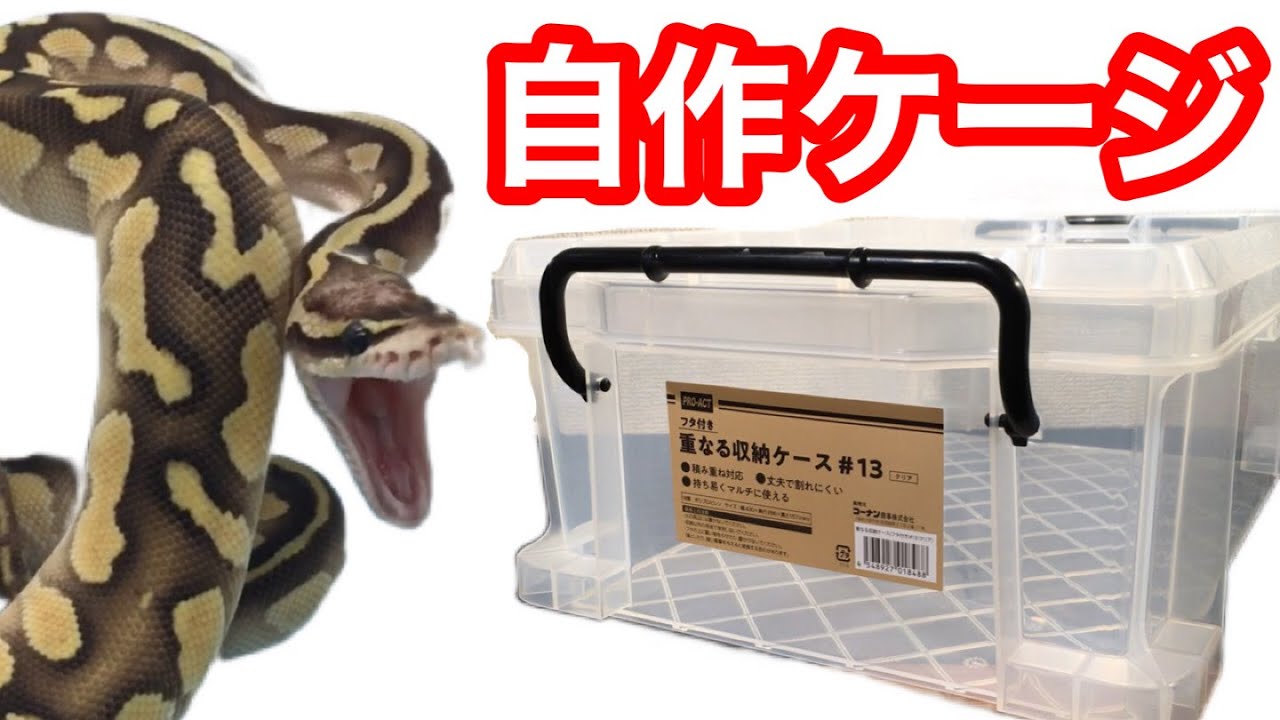 衣装ケースではなくコンテナボックスでボールパイソン用ケージを自作！