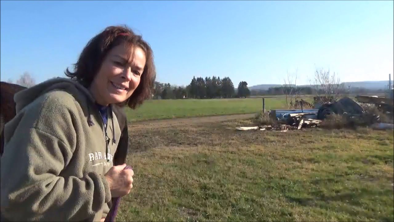 Quoi faire si mon cheval ne veut pas avancer