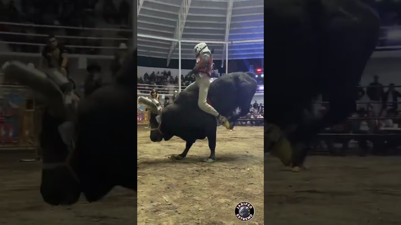 TORAZO DE RANCHO LOS DESTRUCTORES DE MEMO OCAMPO 2026