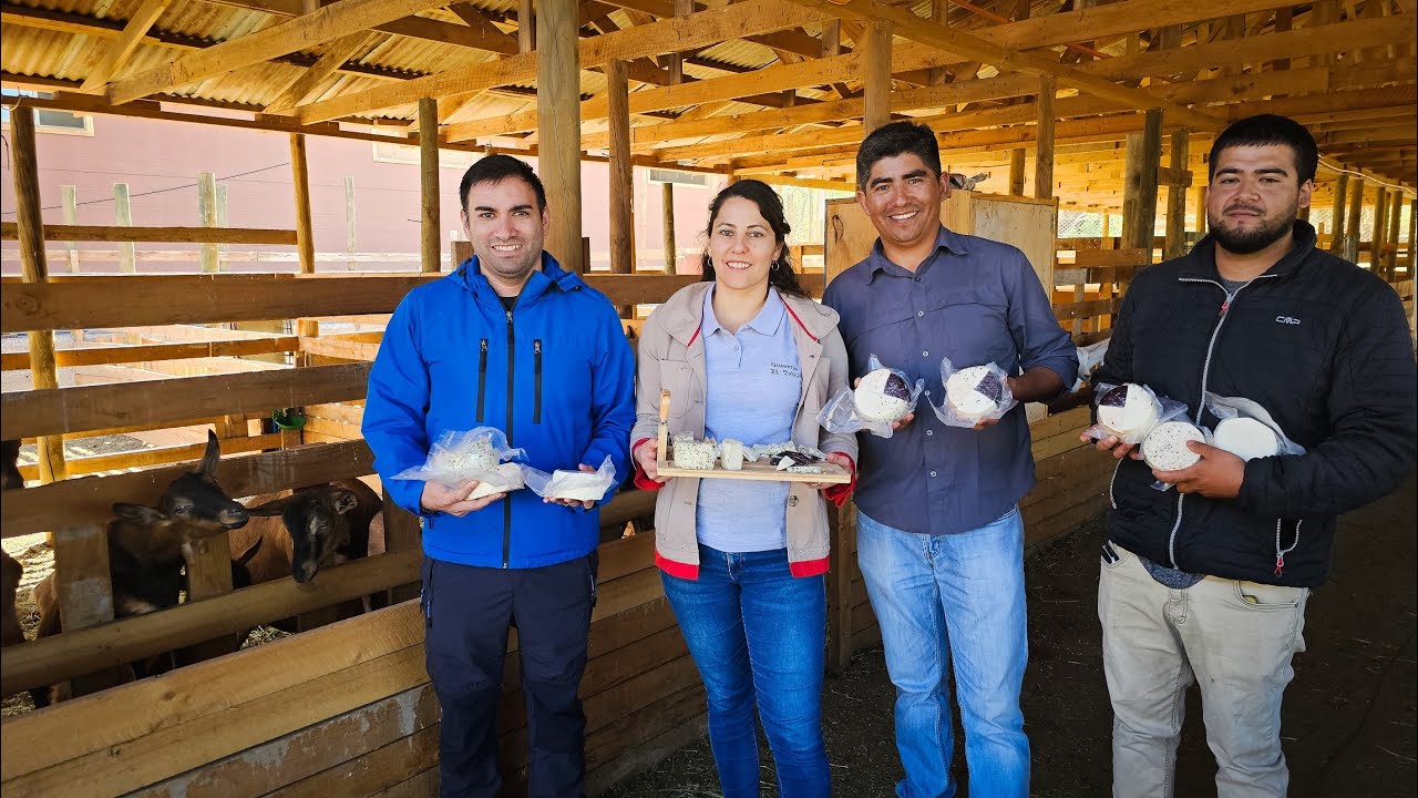 Quesería El Tebal en Salamanca Chile