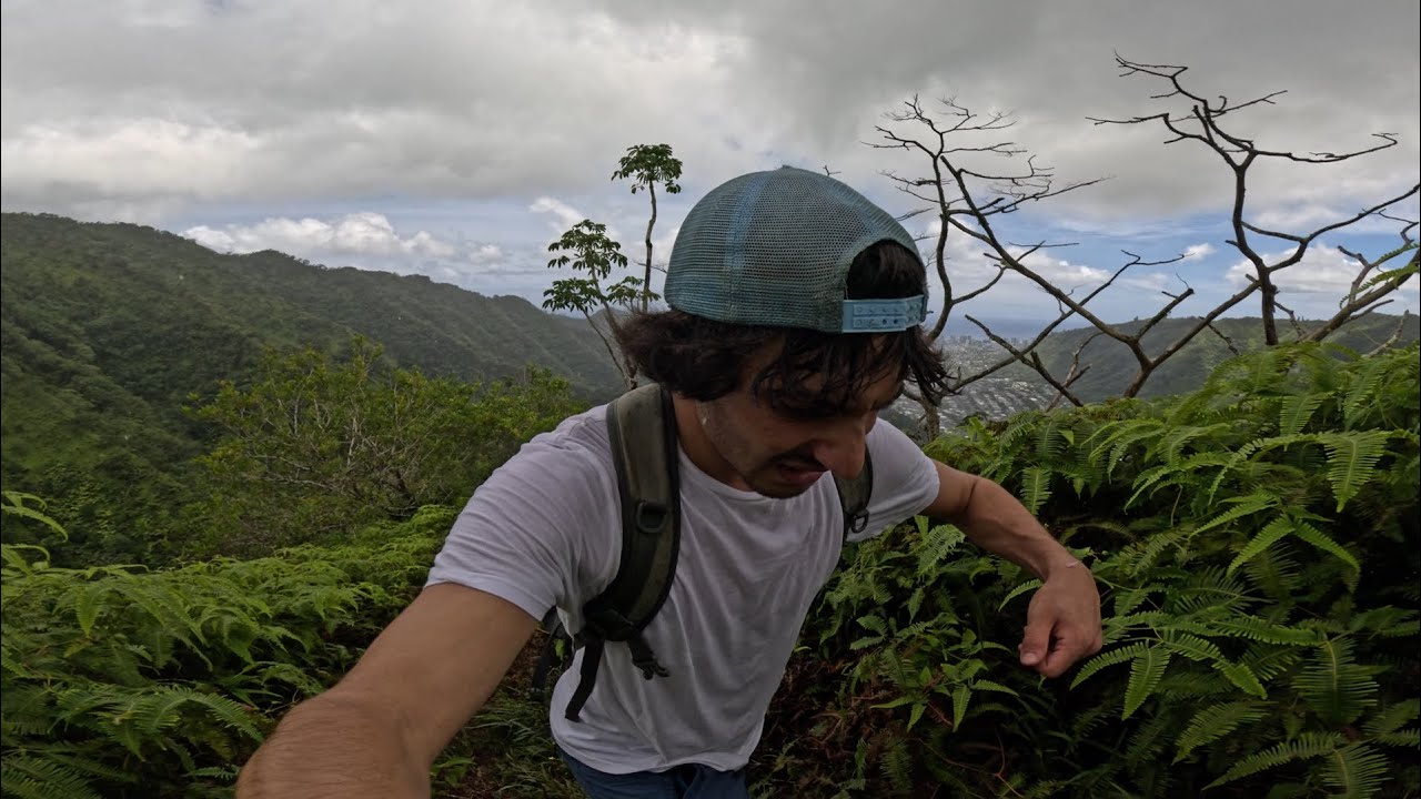 We Hiked 2,400 Feet Into The Clouds Hawaii