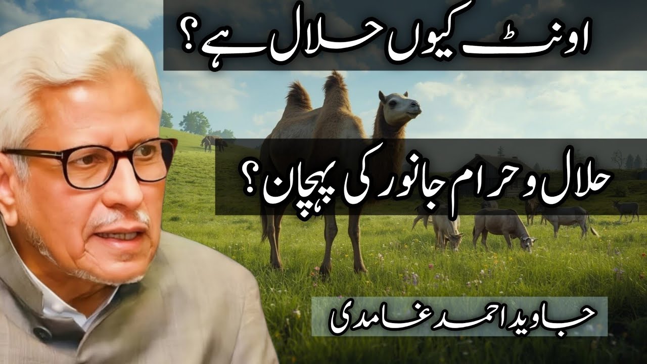 Why is camel Halal? | Javed Ahmad Ghamidi #ghamidi 