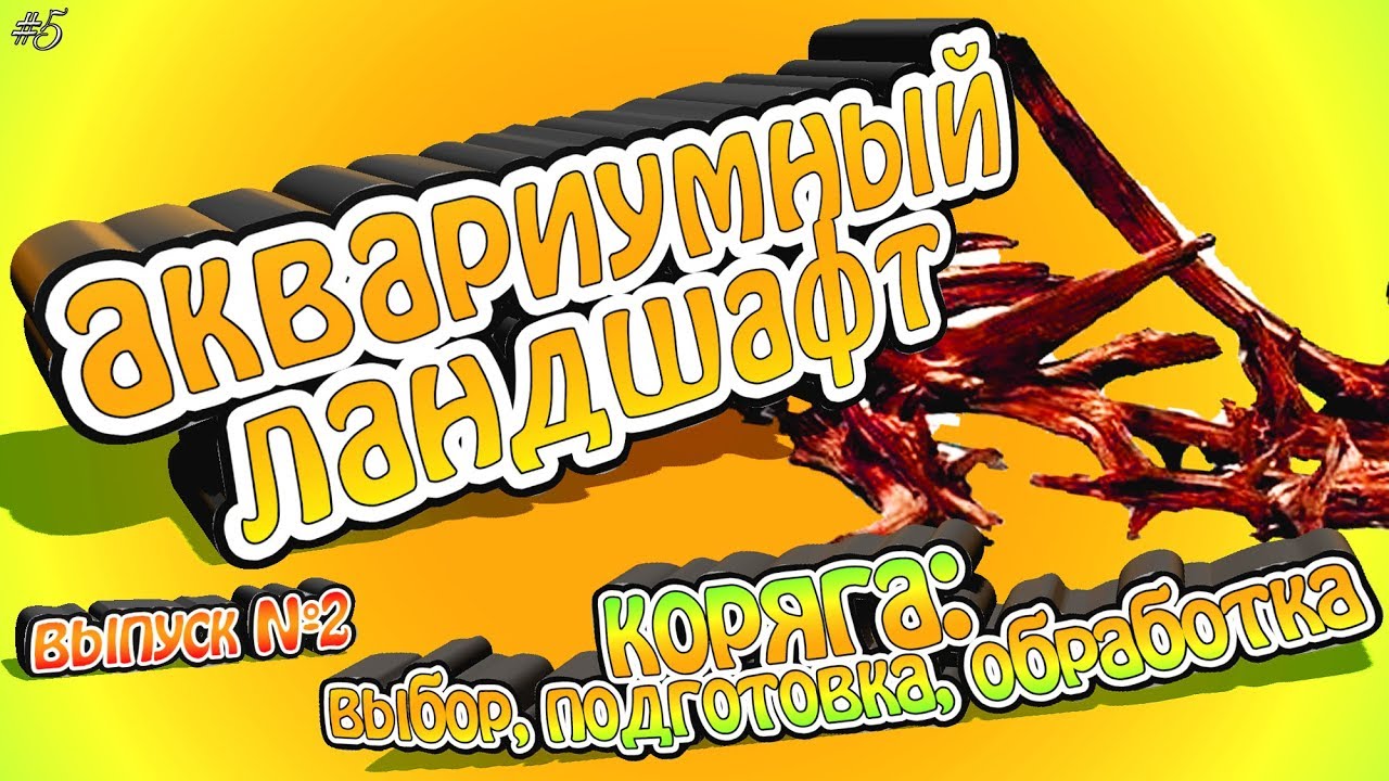 Аквариумные коряги. Где искать? Как подготовить?