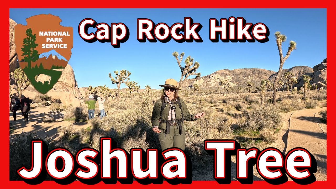 Joshua Tree National Park // Cap Rock Trail Ranger Guided Hike!