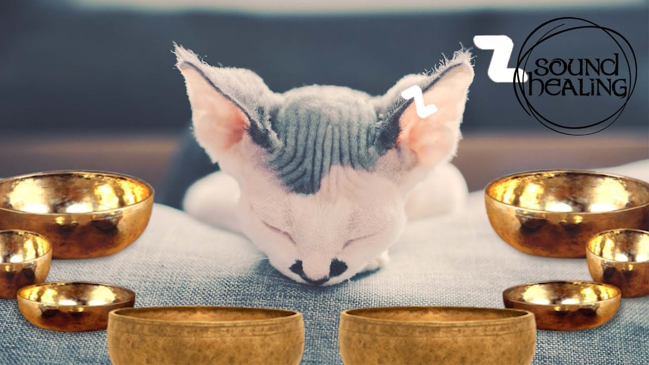 Sound Alchemy Frequency Music for Cats | Tibetan Bowls & Purring