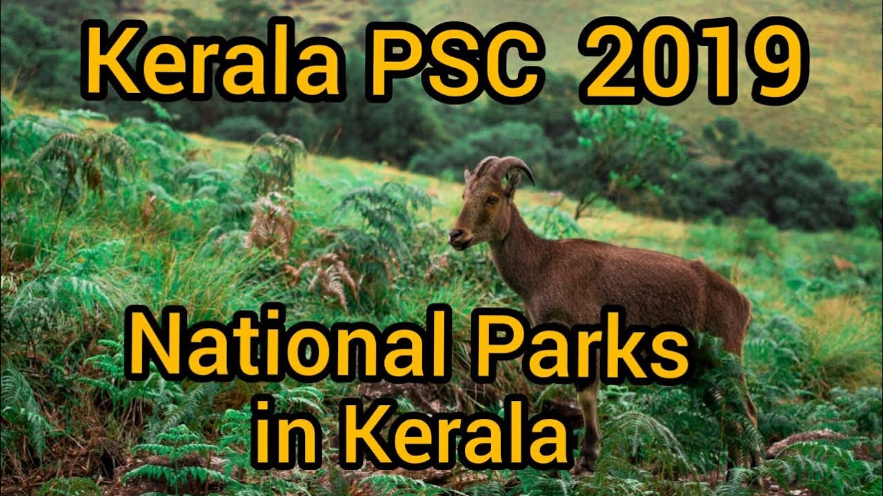 Kerala psc National Parks in Kerala| കേരളത്തിലെ ദേശീയോദ്യാനങ്ങൾ