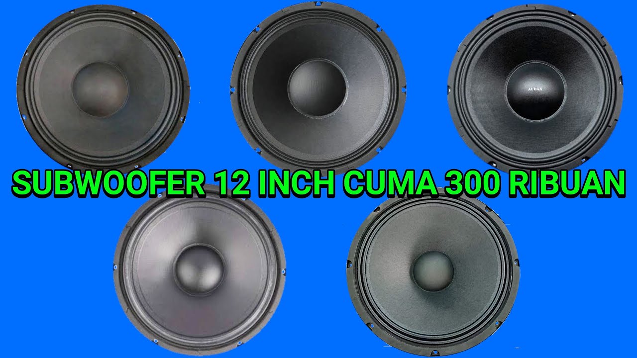 Rekomendasi speaker murah 12 inch bisa buat subwoofer...