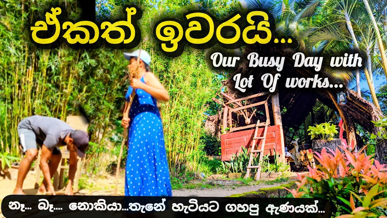 ජීවිතේ ගොඩක් දේවල් වෙනස් වෙන්න පටන් ගත්තේ මෙතනින්❤️Busy Day Vlog❤️