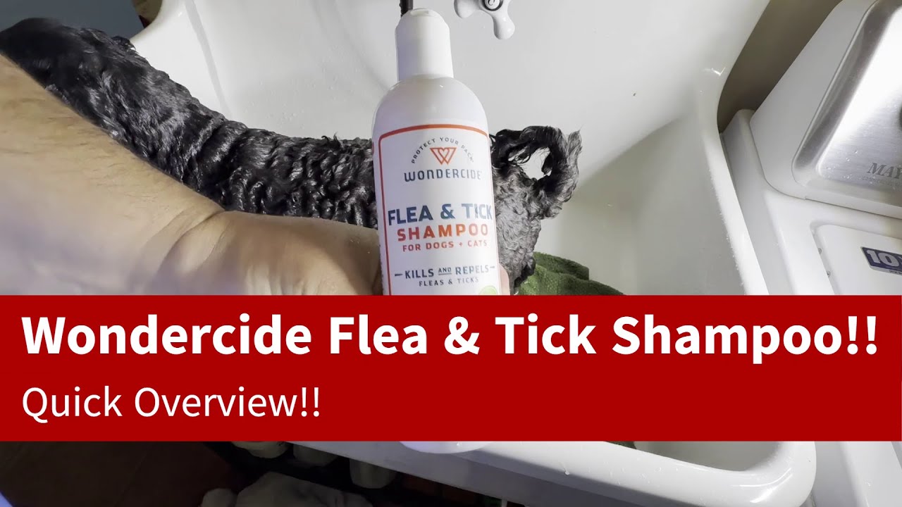 Wondercide Flea & Tick Shampoo For Dogs & Cats Quick Review!