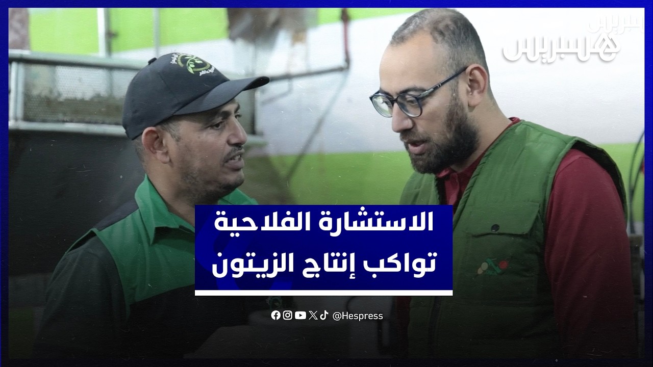 من الغرس إلى العصر.. مكتب الاستشارة الفلاحية يواكب فلاحي الزيتون بالسراغنة على طول سلسلة الإنتاج