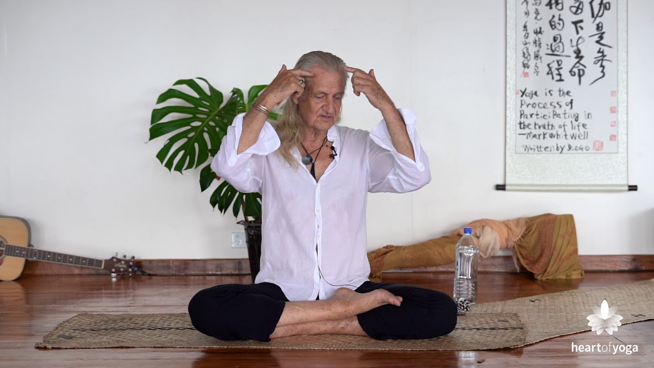 Mark Whitwell : The Soft Limbs of Yoga - Lecture Series