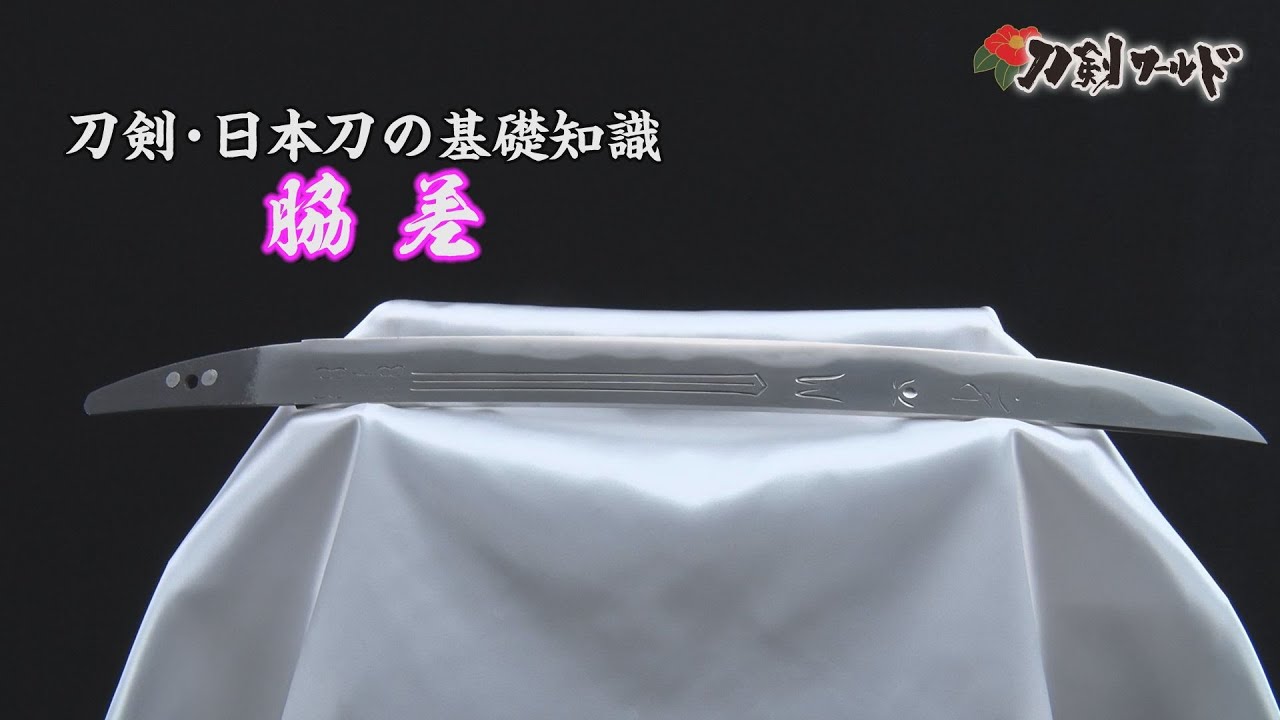 【刀剣ワールド】刀剣・日本刀の基礎知識～脇差～｜YouTube動画
