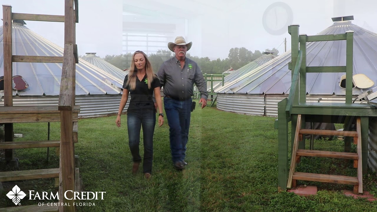 Real Farms, Real Stories: M&D Gator /  Alligator Farming in Central Florida