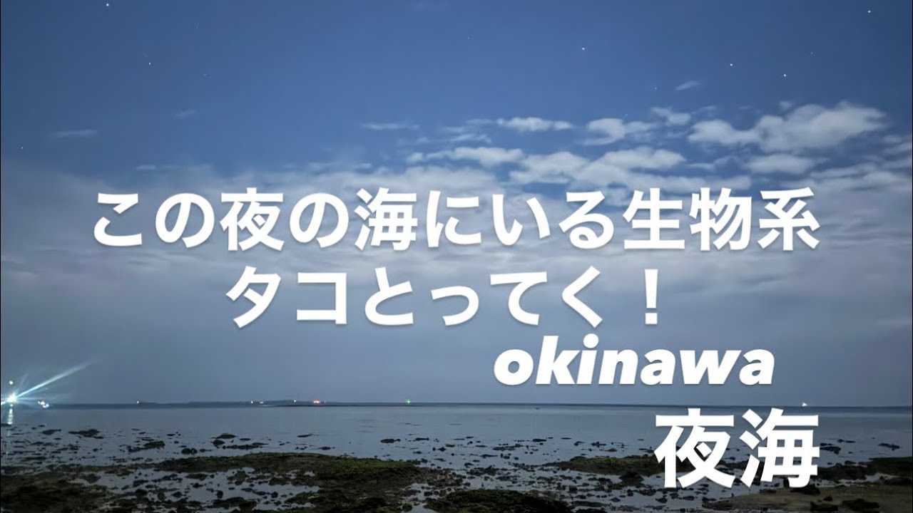 【イザリ】沖縄夜のタコ取り、シガヤー、大潮で繰り出す！