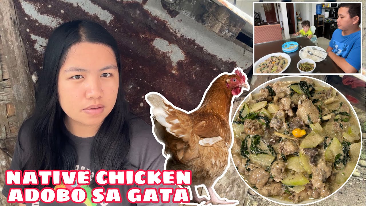 NATIVE CHICKEN ADOBO SA GATA W/ PAPAYA AT DAHON NG SILI + SAFETY GATE FOR TEO SALAMAT PO ATE GIGI❤️😇