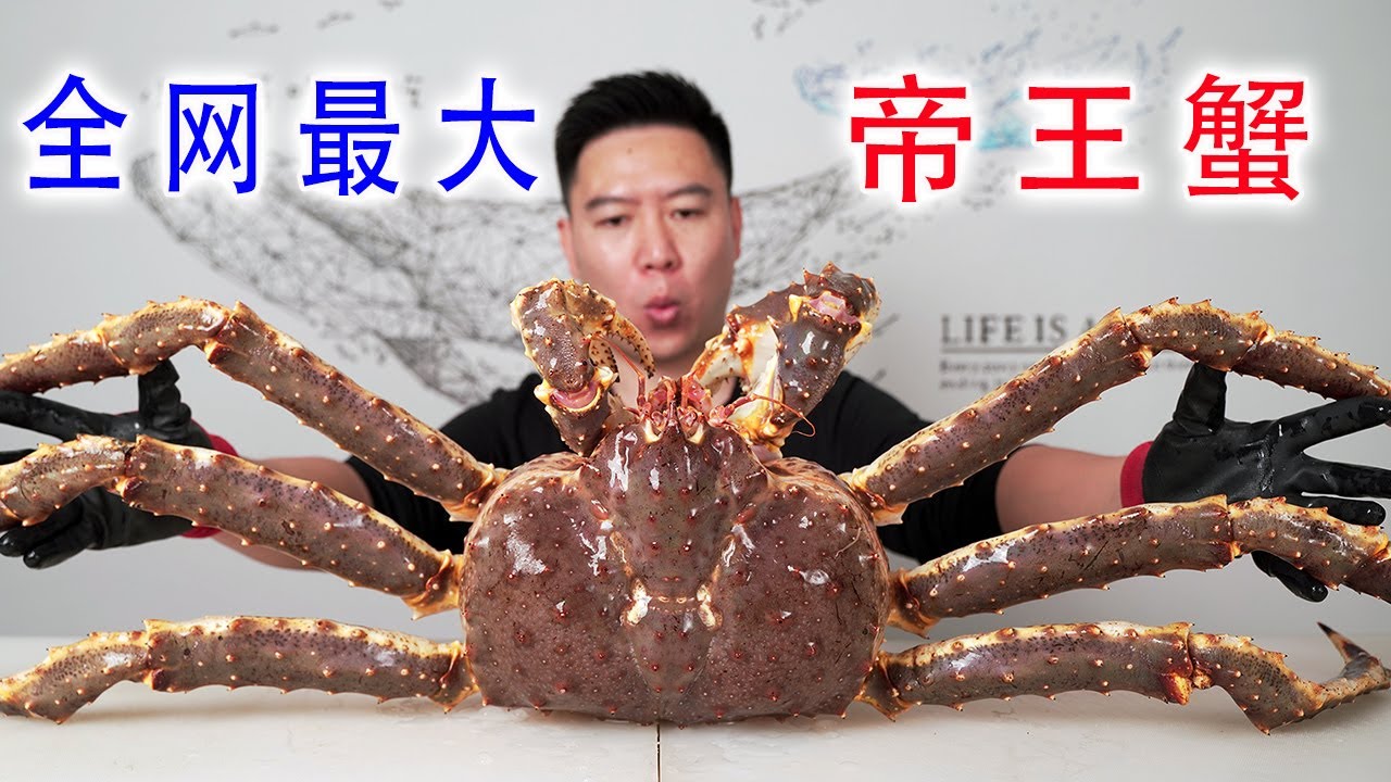 15斤重的帝王蟹，全网最大！直接黄油焖熟，一根蟹腿吃到饱！【小文哥吃吃吃】