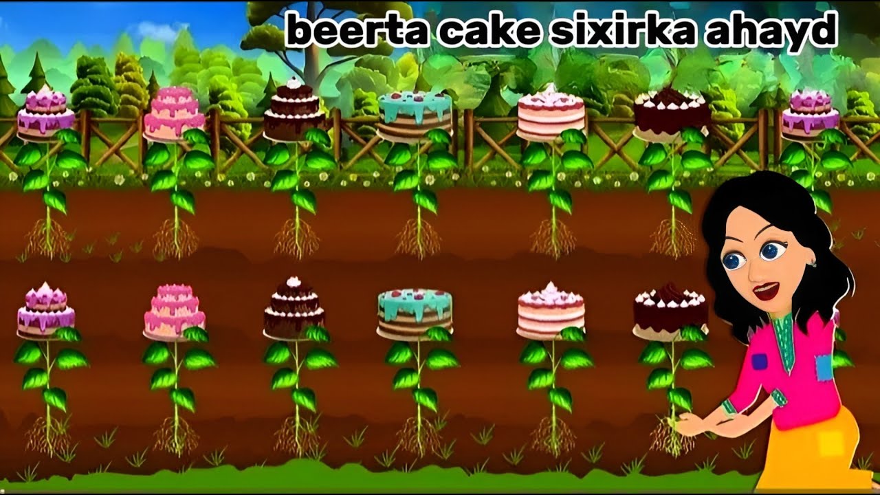 Sheeko gaaban:beertii keega sixirka kasamaysnayd